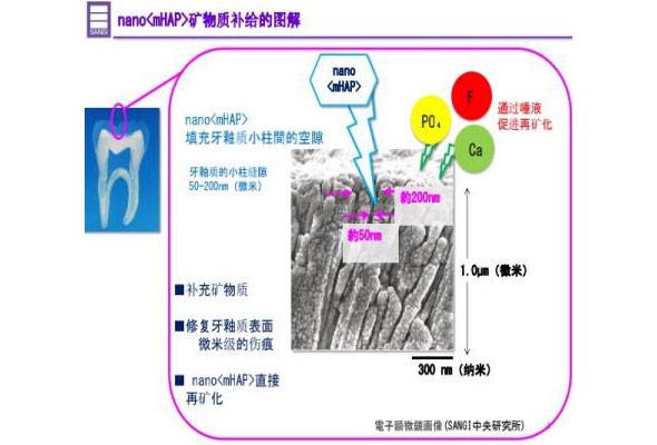 矿物质补给图解